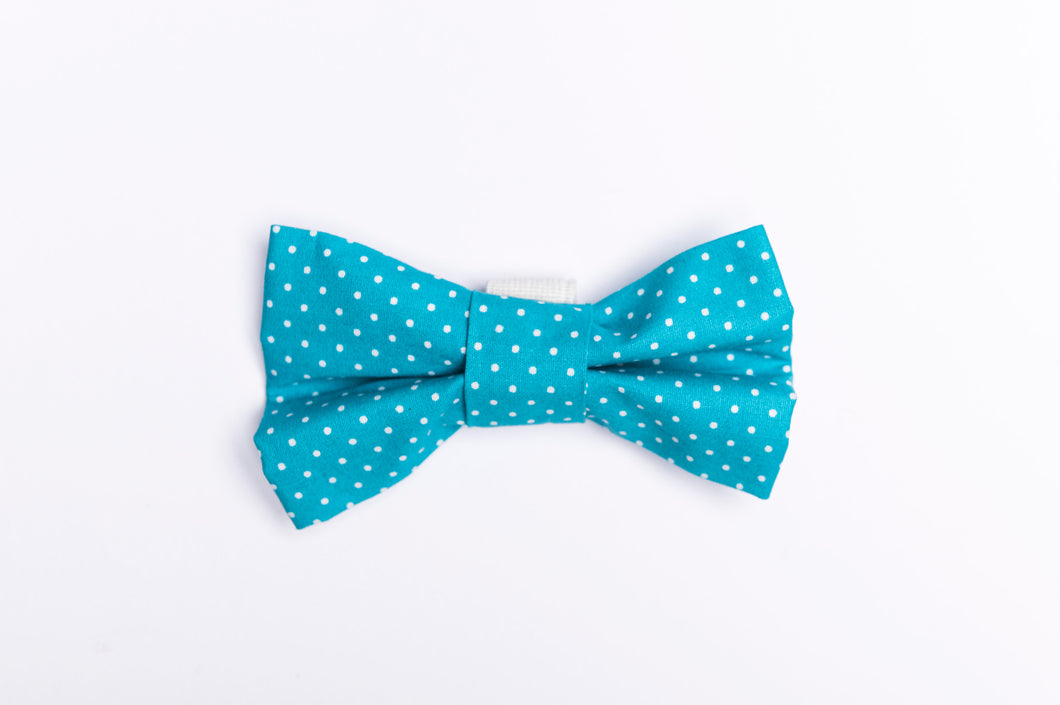 Ocean blue bow tie.