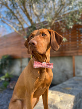 Load image into Gallery viewer, Daisy Duke bow
